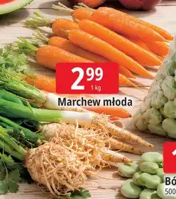 E.Leclerc Marchew młoda oferta