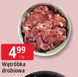 E.Leclerc Wątróbka drobiowa oferta