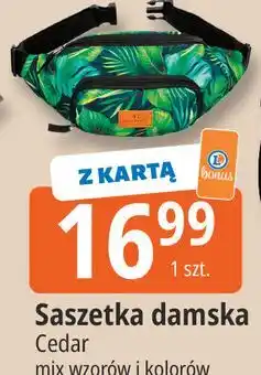 Cedar Saszetka damska