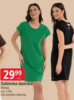 E.Leclerc Moraj Sukienka damska oferta
