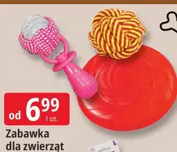 E.Leclerc Zabawka dla zwierząt oferta