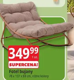 E.Leclerc Fotel bujany oferta