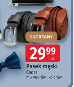 E.Leclerc Pasek męski Cedar oferta