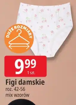 E.Leclerc Figi damskie oferta