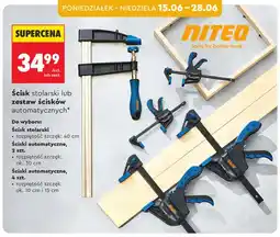 Biedronka Ścisk stolarski NITEO oferta