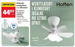 Biedronka Wentylator sufitowy z żarówką Hoffen oferta
