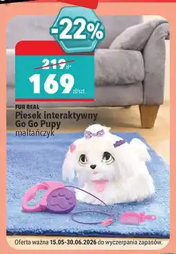 Biedronka Piesek interaktywny Fur Real Go Go Pupy maltańczyk oferta