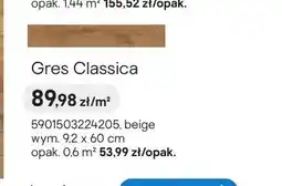 Castorama Gres Ceramika Color Classica beige oferta