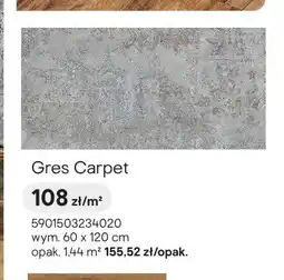Castorama Gres Ceramika Color Carpet oferta