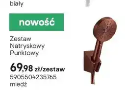Castorama Zestaw natryskowy punktowy miedź oferta