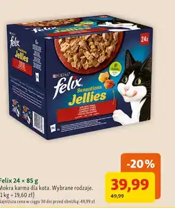 Maxi Zoo Karma dla kota Felix oferta