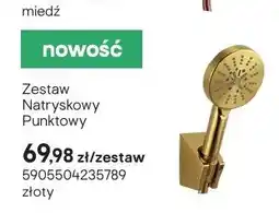 Castorama Zestaw natryskowy punktowy złoty oferta