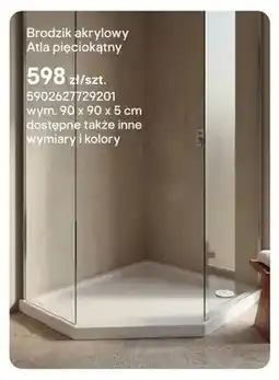 Castorama Brodzik akrylowy Schedpol Atla pięciokątny oferta