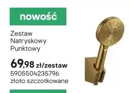 Castorama Zestaw natryskowy punktowy złoto szczotkowane oferta