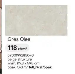 Castorama Gres Tubądzin Olea oferta