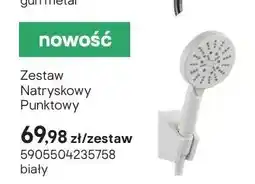 Castorama Zestaw natryskowy punktowy biały oferta