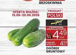 Wafelek Ogórek gruntowy oferta