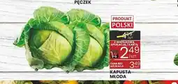 Wafelek Kapusta młoda oferta