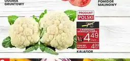 Wafelek Kalafior oferta