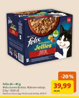 Maxi Zoo Mokra karma dla kota Felix Sensations Jellies 24-pak oferta