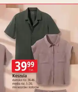 E.Leclerc Koszula damska Tissaia oferta