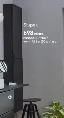 Castorama Słupek łazienkowy Roca Style oferta