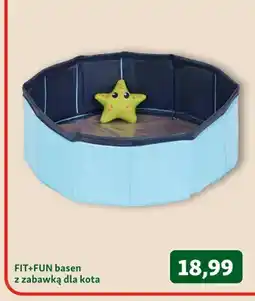 Maxi Zoo Basen z zabawką dla kota FIT+FUN oferta