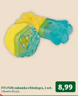 Maxi Zoo Zabawka chłodząca dla psa FIT+FUN oferta