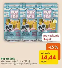Maxi Zoo Lody dla psa Pup Ice oferta