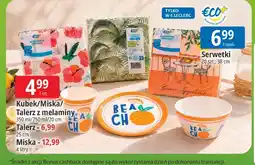 E.Leclerc Kubek z melaminy oferta