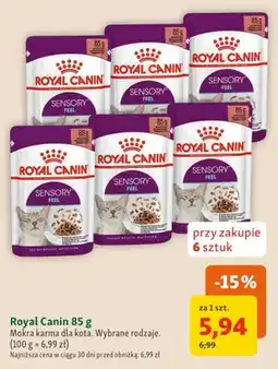 Maxi Zoo Mokra karma dla kota Royal Canin oferta