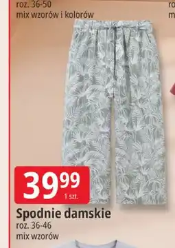E.Leclerc Spodnie damskie Tissaia wzorzyste oferta