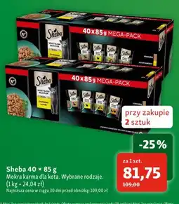 Maxi Zoo Mokra karma dla kota Sheba 40-pak oferta