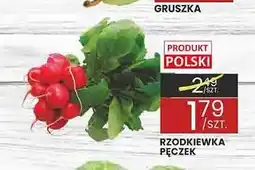 Wafelek Rzodkiewka pęczek oferta