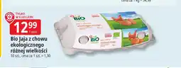 E.Leclerc Bio Jaja z chowu ekologicznego Bio Village oferta