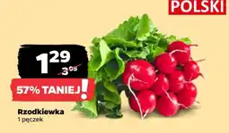 Netto Rzodkiewka oferta