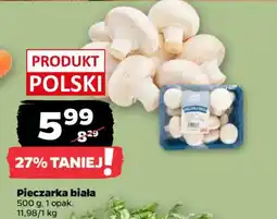 Netto Pieczarka biała oferta