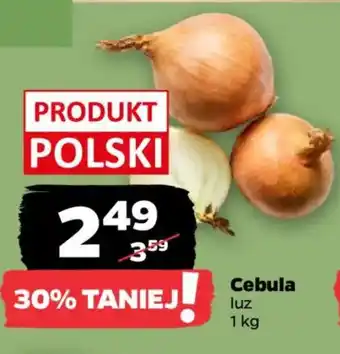 Netto Cebula oferta