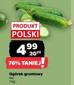 Netto Ogórek gruntowy oferta