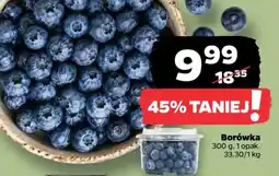 Netto Borówka oferta
