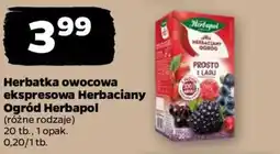 Netto Herbatka owocowa ekspresowa Herbaciany Ogród Herbapol oferta