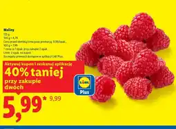 Lidl Maliny oferta