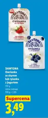 Lidl Ryżanka z jogurtem Dawtona oferta