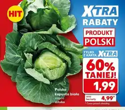 Kaufland Kapusta biała młoda polska oferta