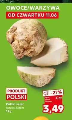 Kaufland Seler korzeń polski oferta