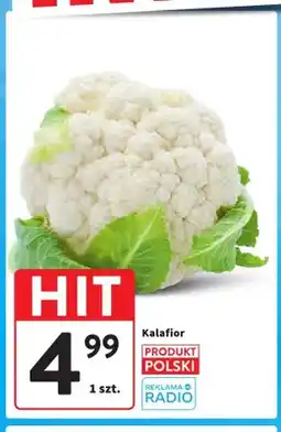 Intermarche Kalafior polski oferta