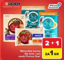 Carrefour Wszystkie karmy dla kota i psa marki Purina One oferta