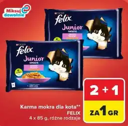 Carrefour Karma mokra dla kota Felix Junior oferta