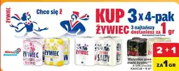 Carrefour Piwo Żywiec oferta
