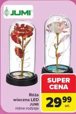 Carrefour Róża wieczna LED JUMI, różne rodzaje oferta